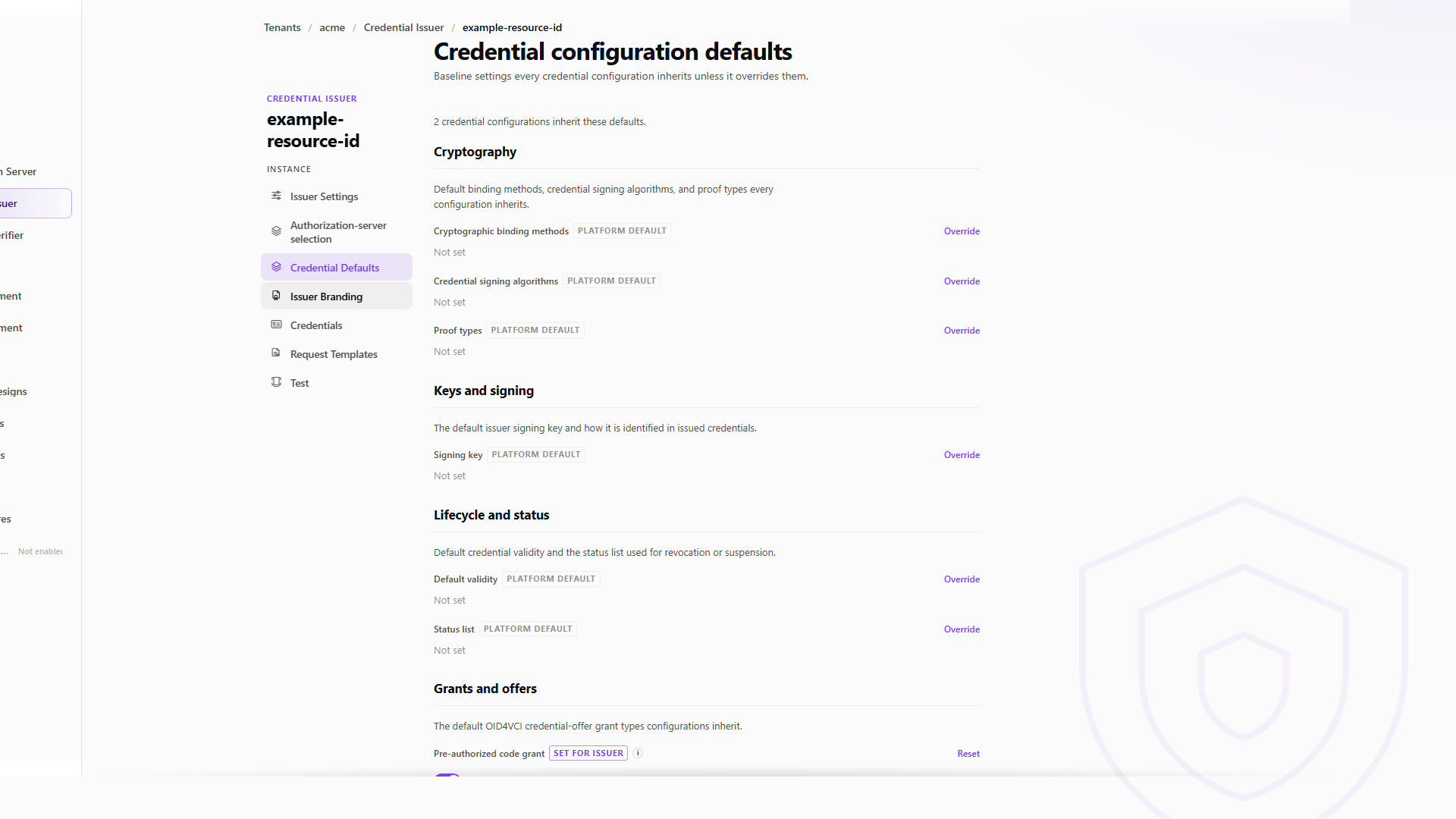Issuer credential defaults screen example